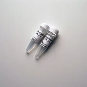 dabos202607140558051179792