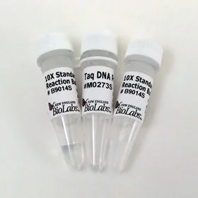 dabos202607150125361298669