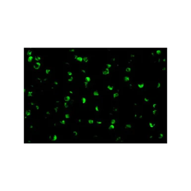 geneseesci20260711210430871207