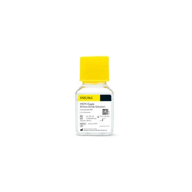 geneseesci20260711211352872119