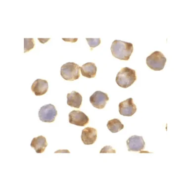geneseesci20260711214939875168