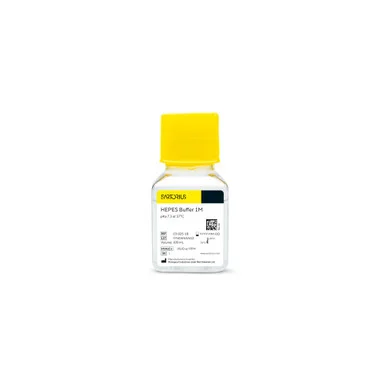 geneseesci20260711225652880563
