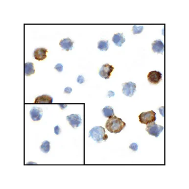 geneseesci20260711233159883197