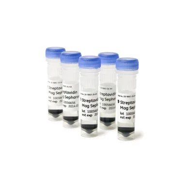 geneseesci20260711233309883296