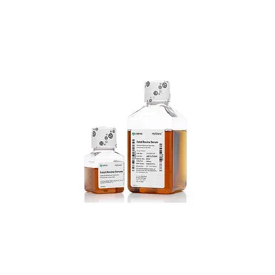 geneseesci20260712012550892628
