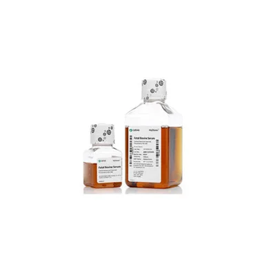 geneseesci20260712042812907299
