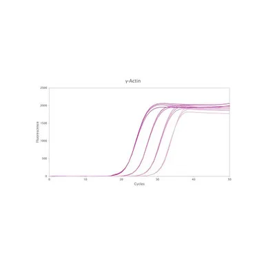 geneseesci20260712062613919210