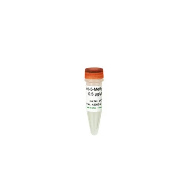 geneseesci20260712080957931830