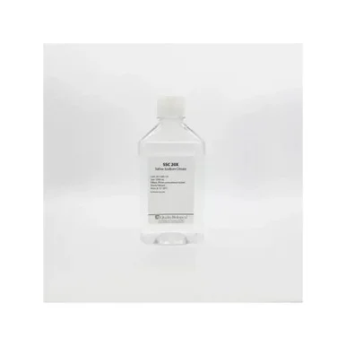 geneseesci20260712090104937490