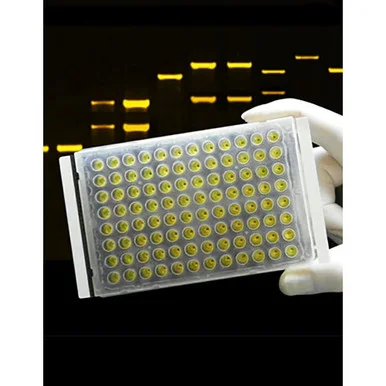 geneseesci20260712104456948821