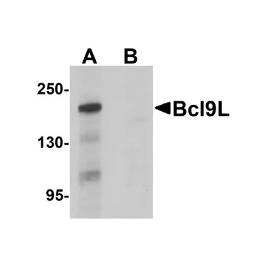 geneseesci20260712140819971100