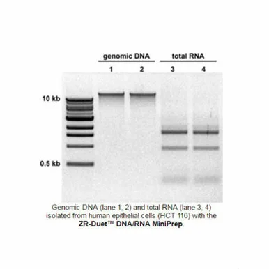 geneseesci202607122055421012657