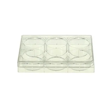 ibisscientific20260712062254918832