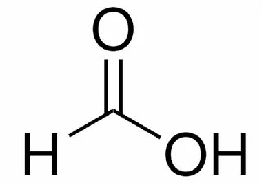 ibisscientific20260712075631930147