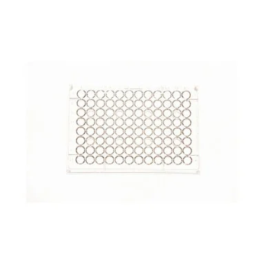 ibisscientific20260712080229930946