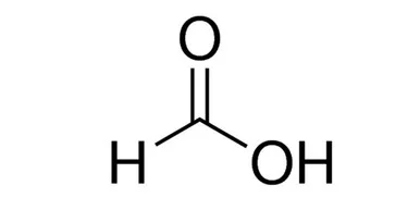 ibisscientific20260712085633937092