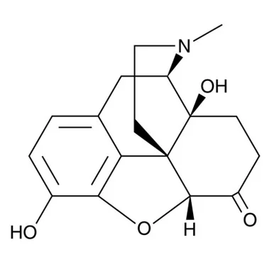 ibisscientific20260712090903938198