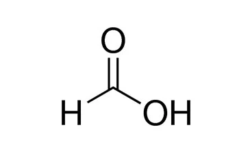 ibisscientific20260712095931943592